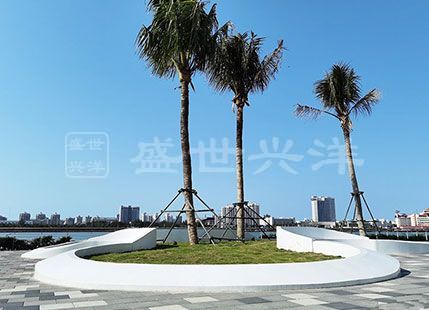 树池与坐凳的完美结合——创意的结合